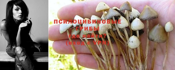 гидропоника Новозыбков
