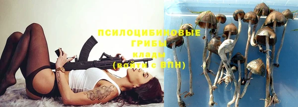 таблы Новодвинск
