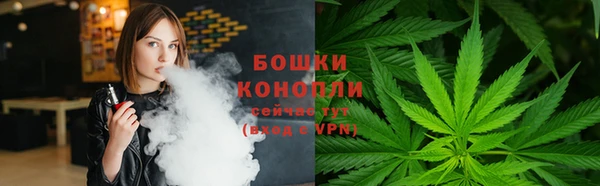 гидропоника Новозыбков