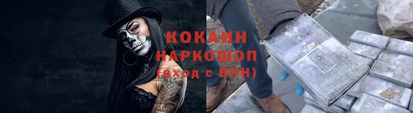 сатива Бикин