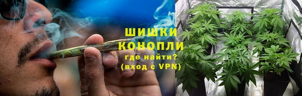 гидропоника Новозыбков